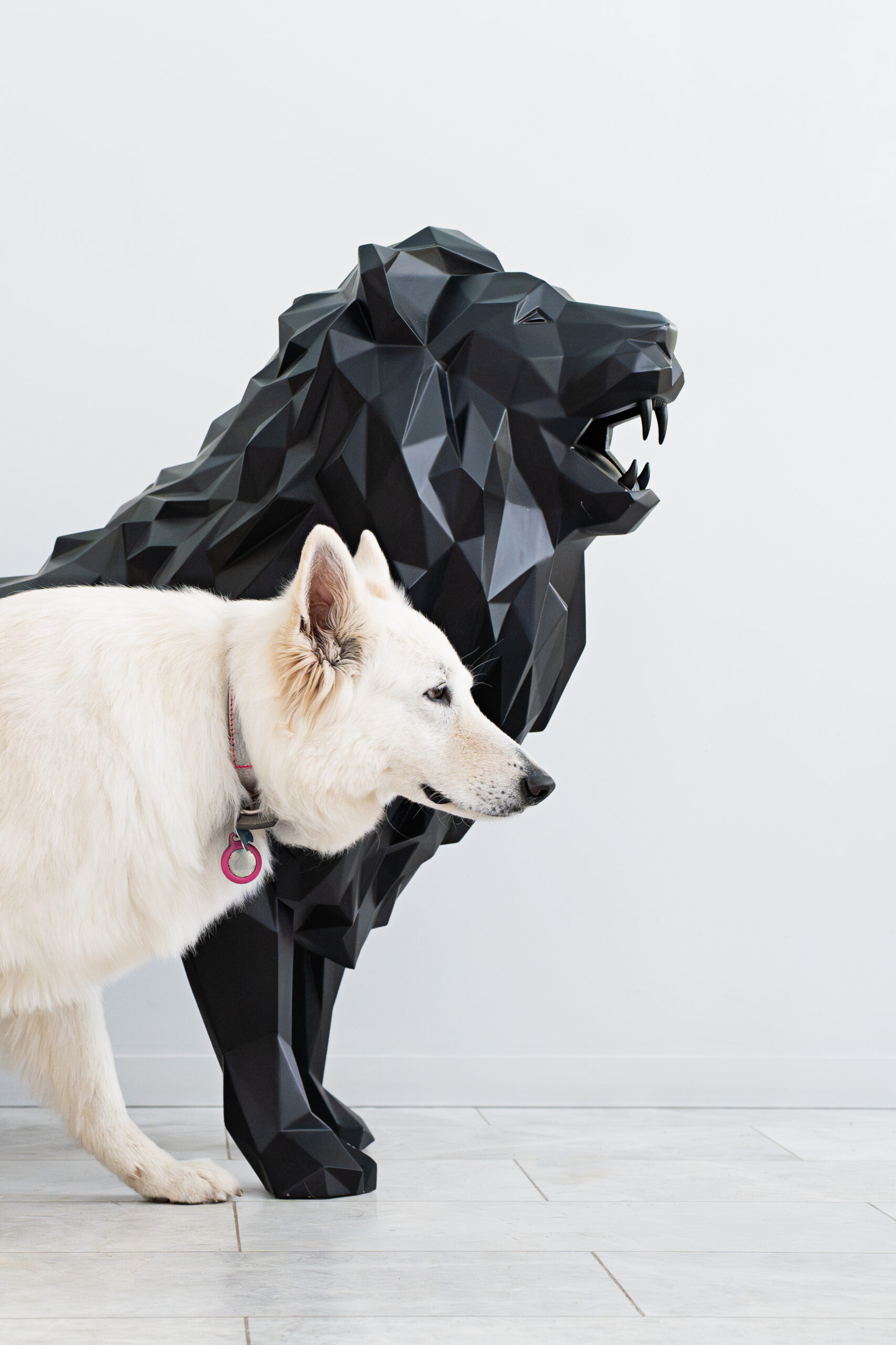 Photographie animalière